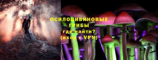 соль ск Балабаново