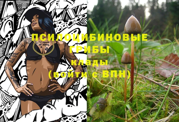 спайс Армянск