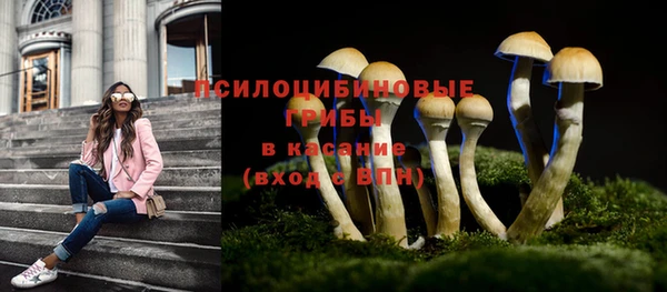 мескалин Балахна