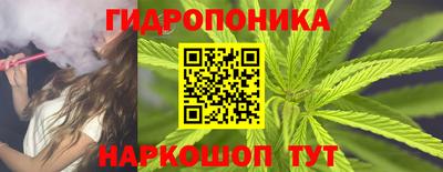 ГАЛЛЮЦИНОГЕННЫЕ ГРИБЫ Кудымкар