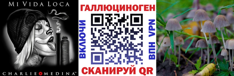 дарнет шоп Балахна Галлюциногенные грибы ЛСД