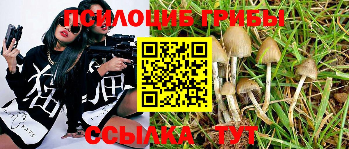 Псилоцибиновые грибы мицелий  дарнет шоп  Балахна  Вход с VPN  Галлюциногенные грибы Psilocybine cubensis 
